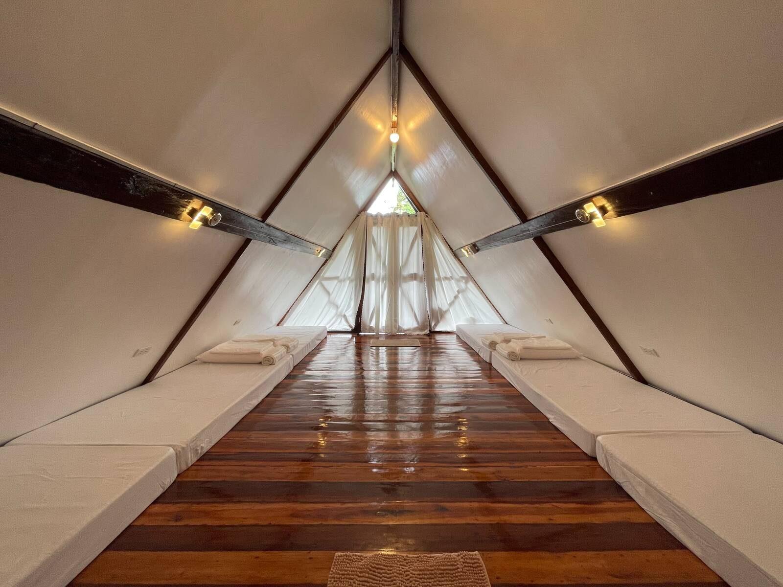 Attic Group — photo 2
