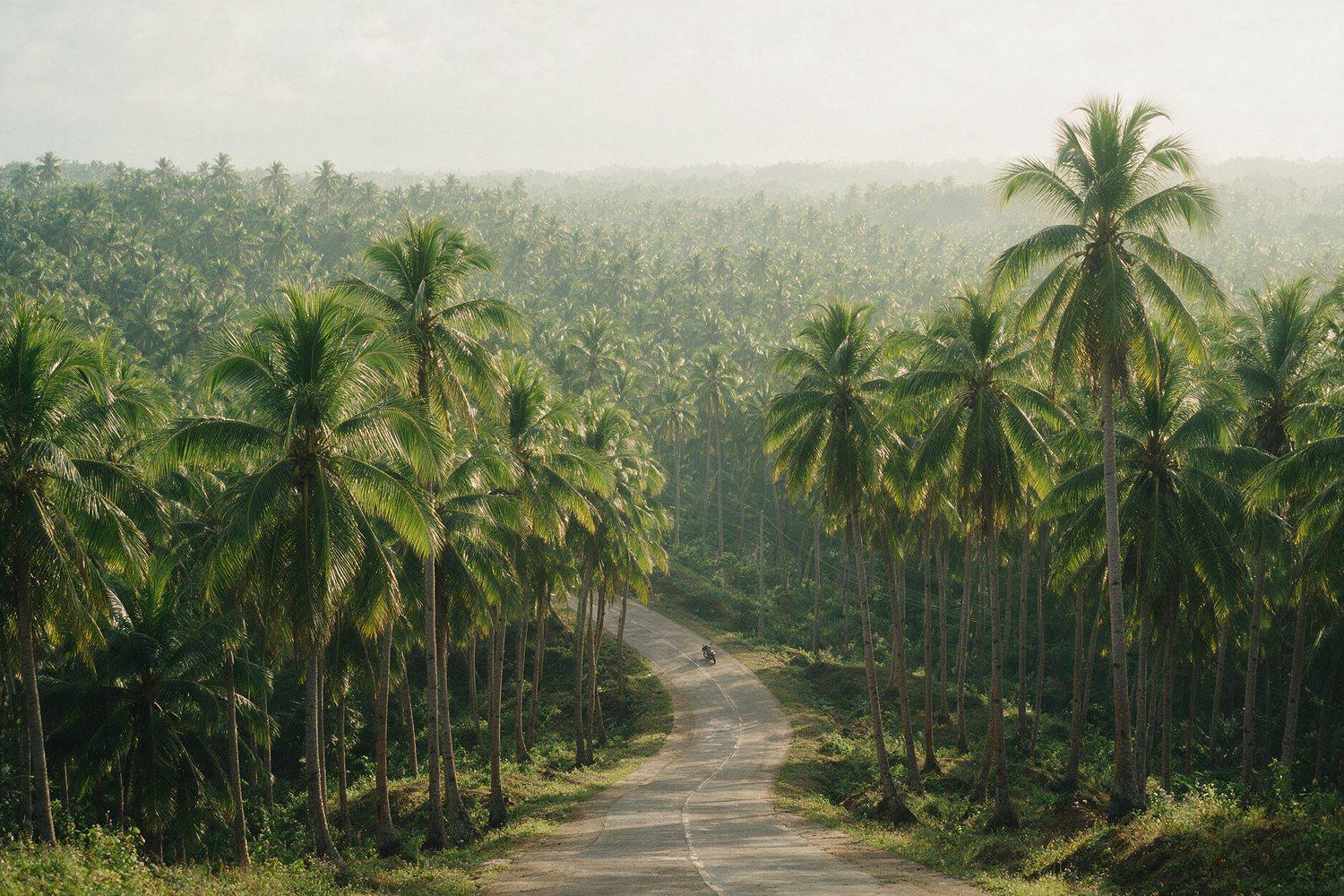 Land Tour